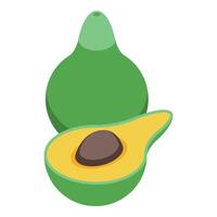 Whole and halved avocado showing seed inside vector