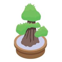 Small bonsai tree growing in a pot isometric view vector