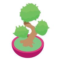 Bonsai tree growing in a round pot isometric view vector