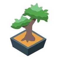 Small bonsai tree growing in square pot isometric illustration vector