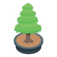 Small round shaped bonsai tree growing in a pot vector