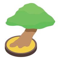 Small bonsai tree growing in a pot isometric view vector