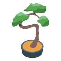 Small bonsai tree growing in a pot isometric icon vector