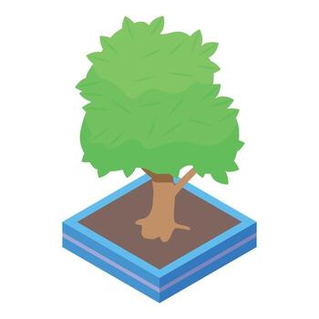 Green tree growing in square pot isometric view vector