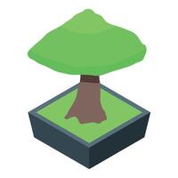Small bonsai tree growing in a square pot isometric illustration vector