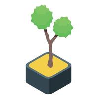 Small bonsai tree growing in square pot isometric view vector
