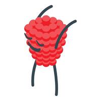 Cute raspberry character stretching its arms vector
