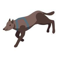 Trained search and rescue dog running and searching vector
