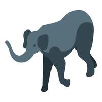 Big grey elephant walking isometric view vector