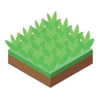 Green grass growing from square ground soil isometric view vector