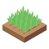 Green seedlings growing from square soil patch isometric view vector