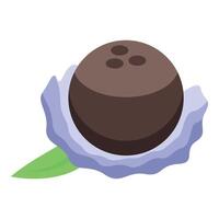 Whole coconut resting on napkin with tropical leaf vector