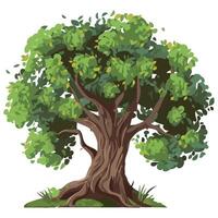 An illustration of a tree with green leaves vector