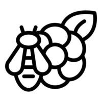 Honey bee pollinating raspberry icon representing summer season vector