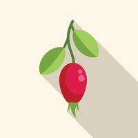 Single rosehip hanging from branch with green leaves illustration vector