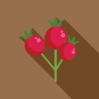 Branch of rose hips growing with long shadow vector