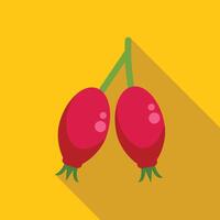 Two rose hips hanging from branch with long shadow vector