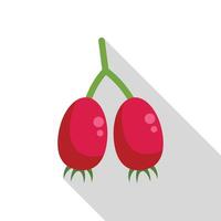 Two ripe red hawthorn berries hanging from branch with long shadow vector