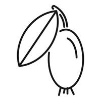Line icon style illustration of a feijoa fruit hanging from branch vector