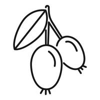 Line icon style illustration of two honeyberries hanging from branch vector