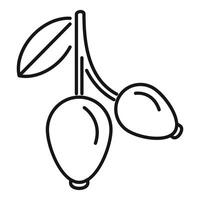 Branch of sea buckthorn with berries growing icon outline style vector
