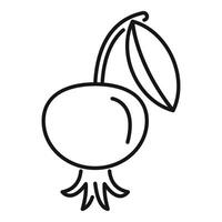Line icon style illustration of a cranberry with a stem and leaf vector