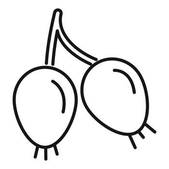 Line art icon representing two honeysuckles hanging from a branch vector