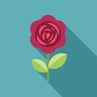 Beautiful red rose with green leaves is growing on blue background vector