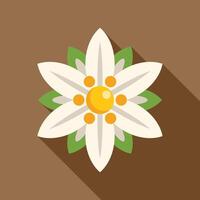 White edelweiss flower growing with long shadow vector