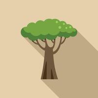 African baobab tree casting a long shadow on the savannah vector