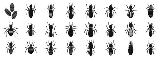Termite icons set. Set of termite insects in different poses showing anatomy vector