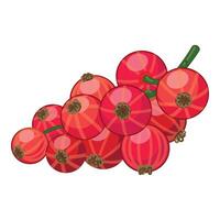 Bunch of redcurrant berries hanging on a twig vector