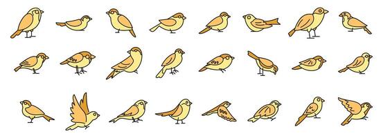 Collection of small birds standing and flying with yellow feathers vector