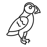 Atlantic puffin bird standing side view icon lineart vector