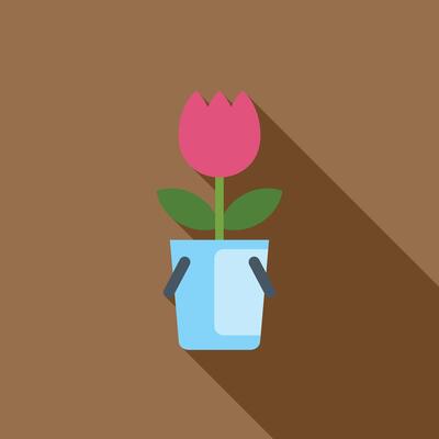 Pink tulip growing in blue flower pot with long shadow