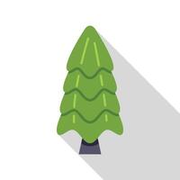 Evergreen coniferous tree growing with long shadow vector