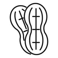 Two peanut seeds showing internal structure in black outline vector