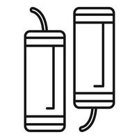 Firecracker couple celebrating with exploding pyrotechnics icon vector