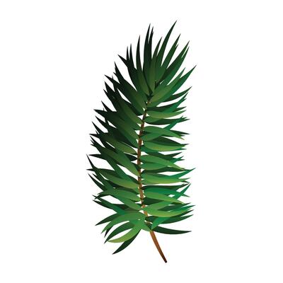 Christmas tree isolated on white background illustration