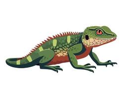 An illustration of a lizard on a white background vector