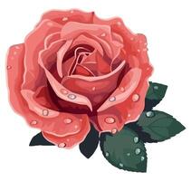 A rose with water droplets on it vector