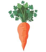 Carrot price 1 credit usd 1 vector
