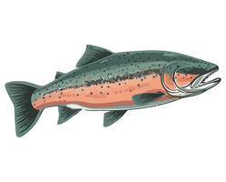 A fish with a large head and a long tail vector