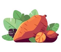 Carrot and other vegetables on a white background vector