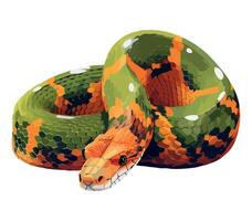 A snake with orange and green stripes on its body vector