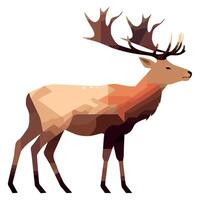 A deer with large antlers on a white background vector