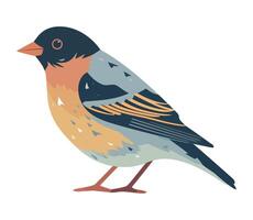 A bird with orange and black feathers on a white background vector