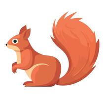 A cartoon squirrel with long tail on a white background vector
