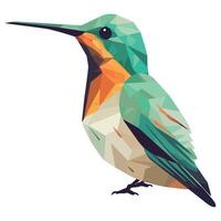 A colorful hummingbird is standing on a white background vector