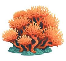 An orange coral reef on a white background vector